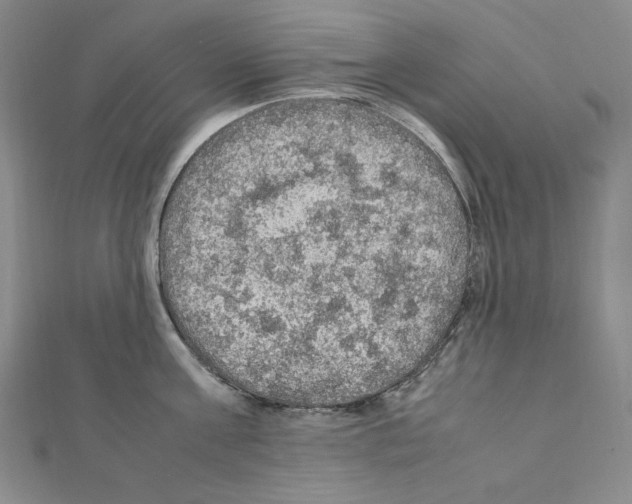 X0000111470811200908241340