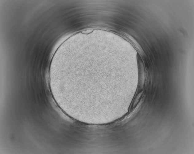 X0000111470812200908241340