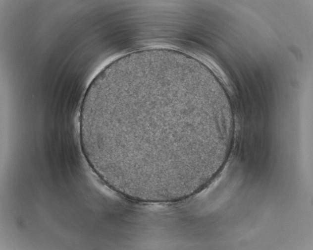 X0000111470814200908241340