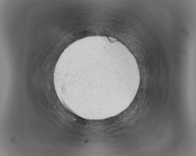 X0000111470817200908241339