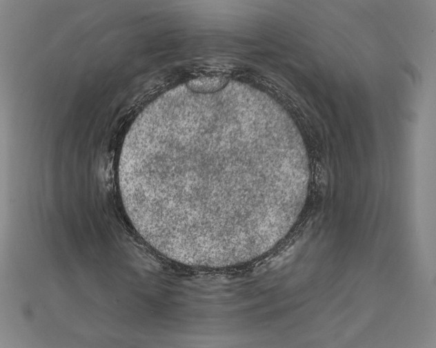 X0000111470818200908241340