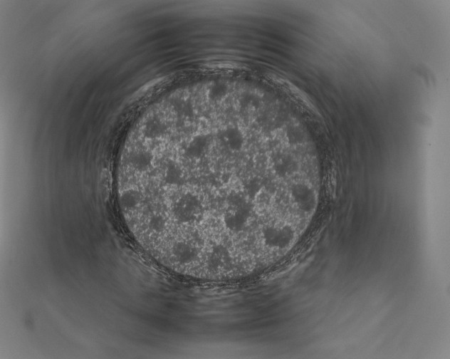 X0000111470821200908241340