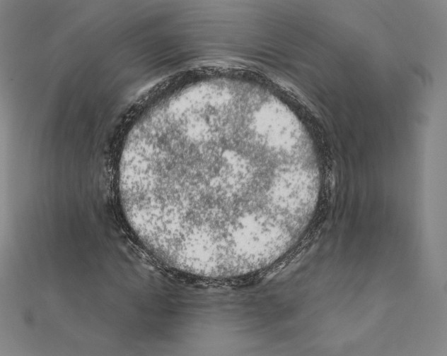 X0000111470822200908241340