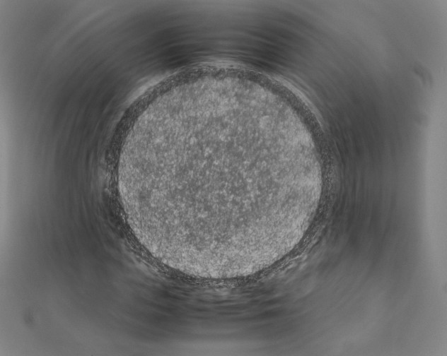 X0000111470823200908241340