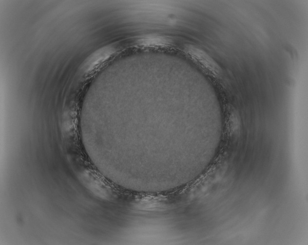 X0000111470824200908241340