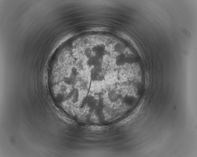 X0000111470827200908241340