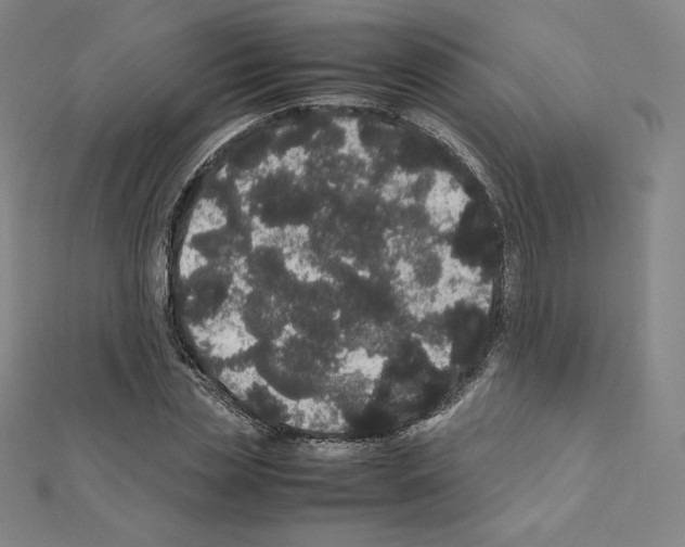 X0000111470829200908241340