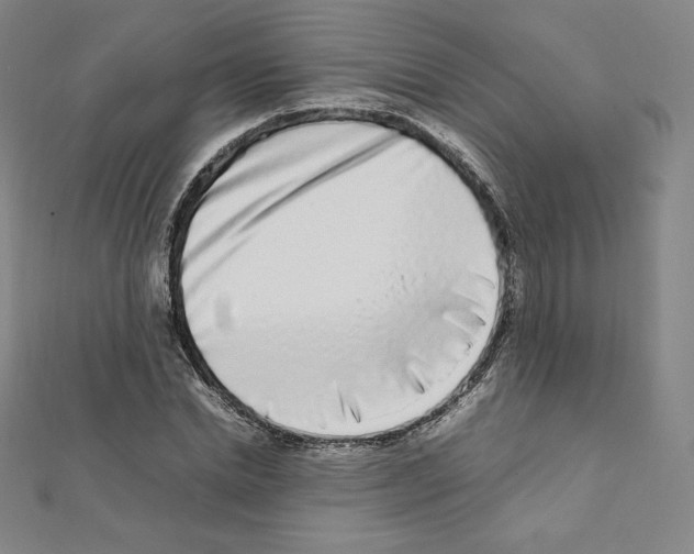 X0000111470830200908241340