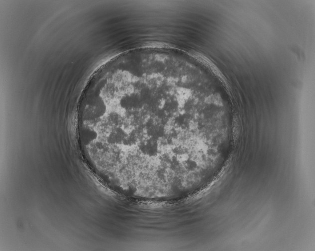 X0000111470831200908241340