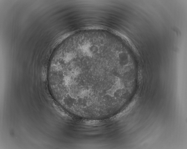 X0000111470833200908241340