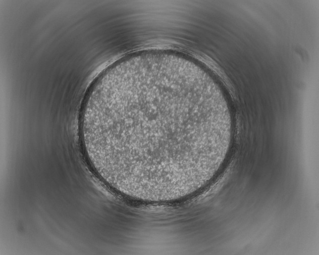 X0000111470834200908241340