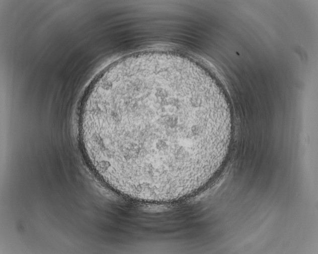 X0000111470835200908241340