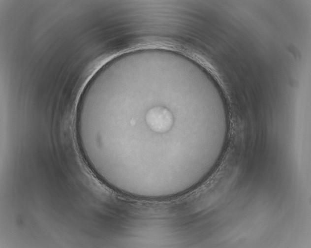 X0000111470836200908241340