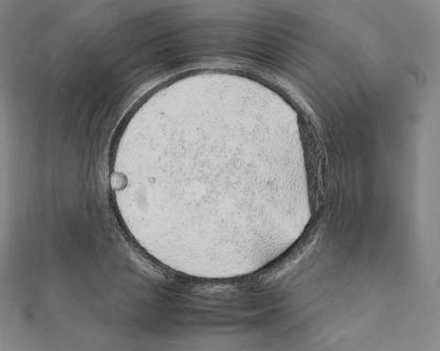 X0000111470837200908241340