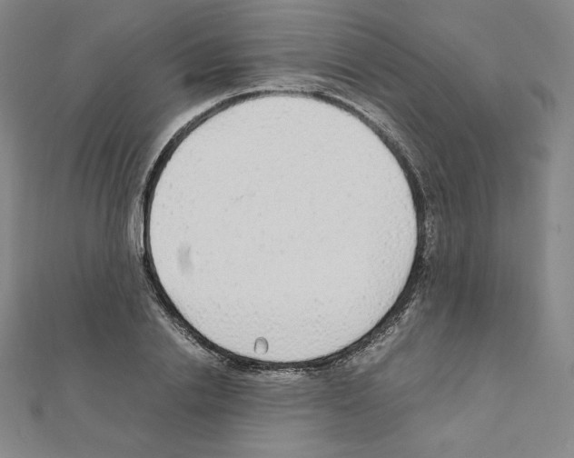 X0000111470838200908241340