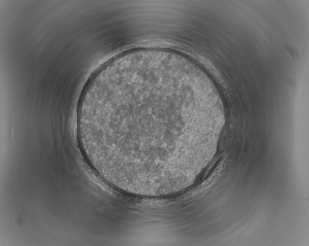 X0000111470840200908241340