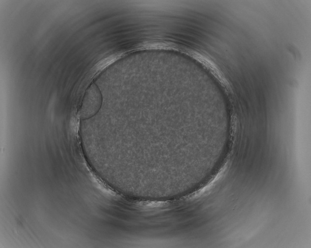 X0000111470841200908241340