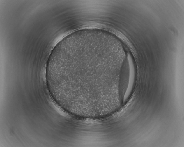 X0000111470842200908241340