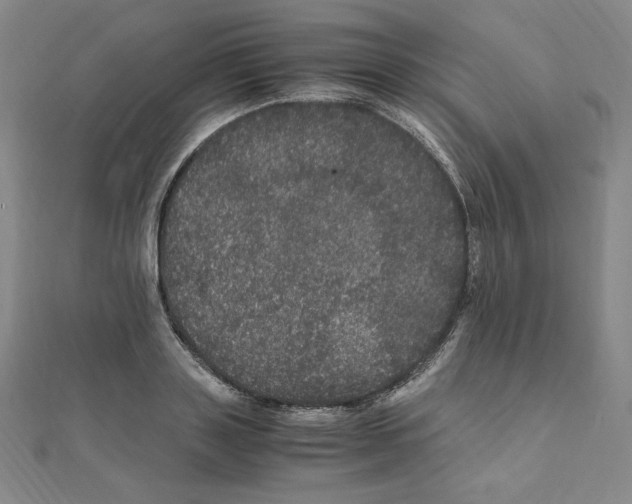 X0000111470843200908241340