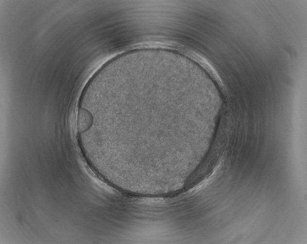 X0000111470844200908241340