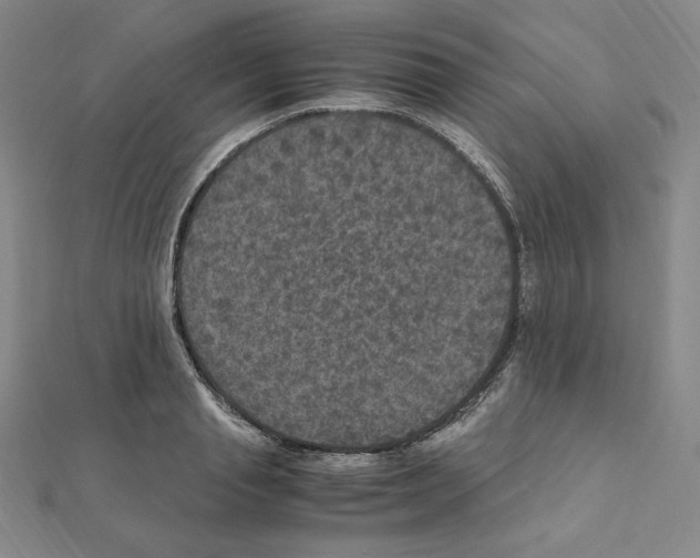 X0000111470845200908241340