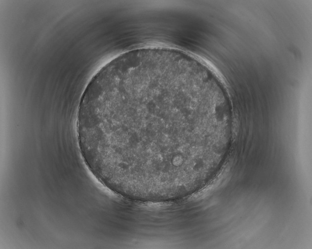 X0000111470847200908241340