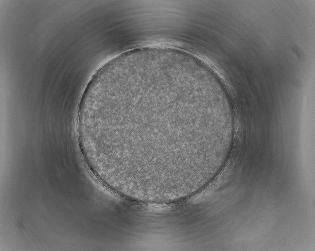 X0000111470848200908241340