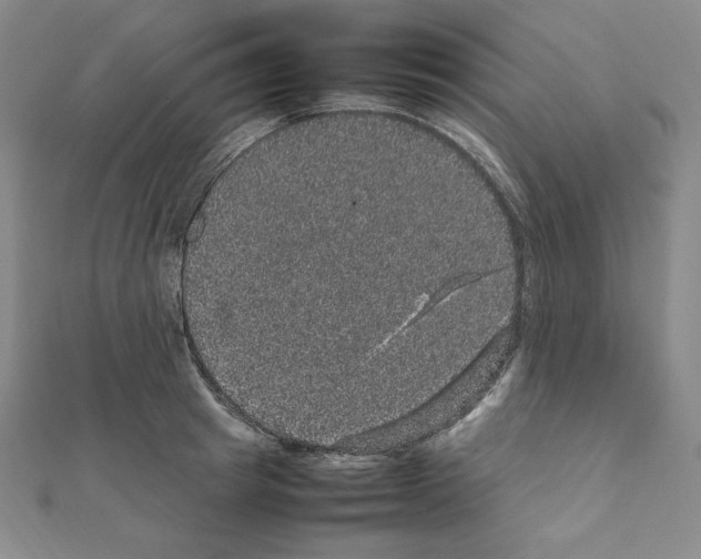 X0000111470849200908241340