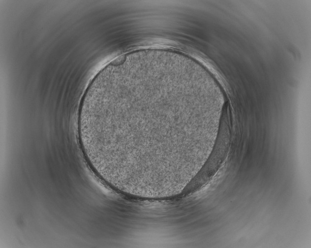 X0000111470850200908241340