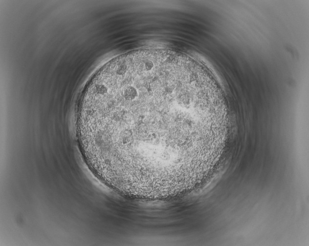 X0000111470851200908241340