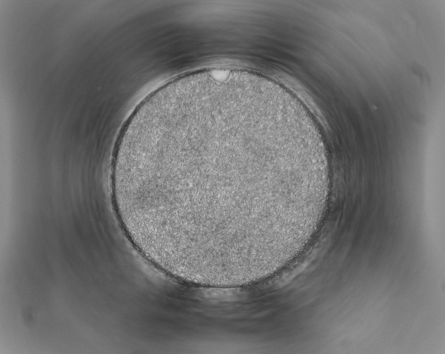 X0000111470853200908241340