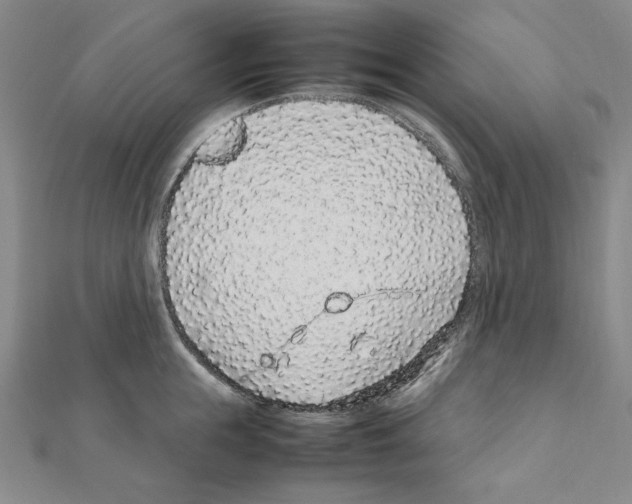 X0000111470855200908241340