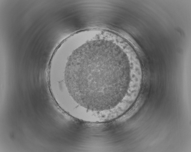 X0000111470856200908241340