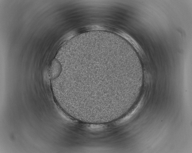 X0000111470857200908241340