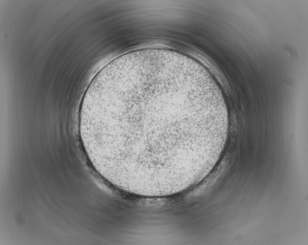 X0000111470858200908241340