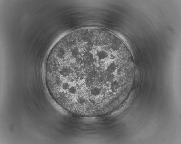 X0000111470859200908241340