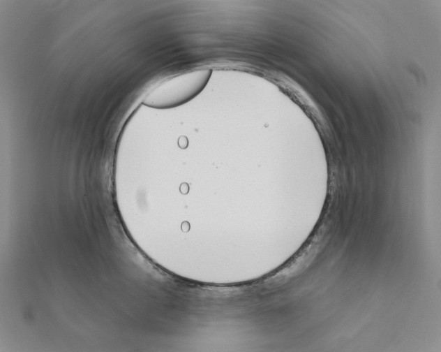 X0000111470860200908241340