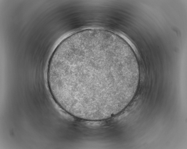 X0000111470861200908241340