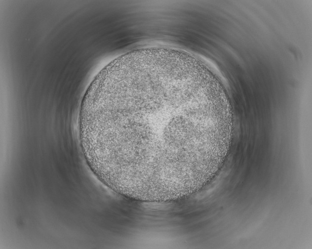 X0000111470863200908241340