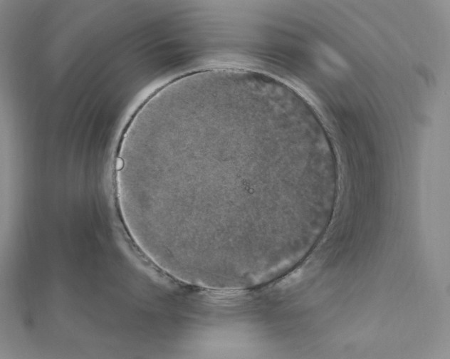 X0000111470864200908241340