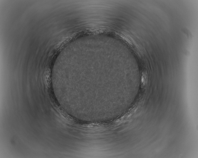 X0000111470867200908241339