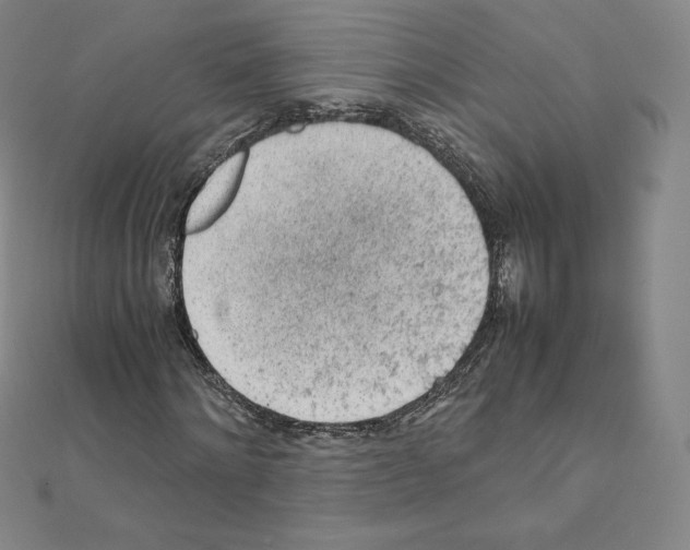 X0000111470868200908241339