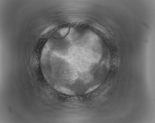 X0000111470869200908241339