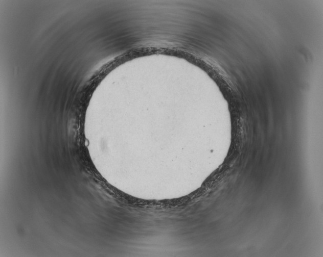 X0000111470872200908241339