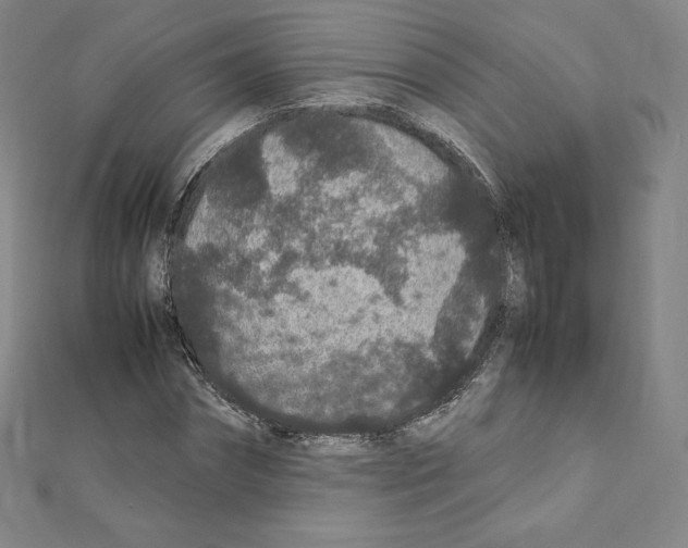 X0000111470874200908241339