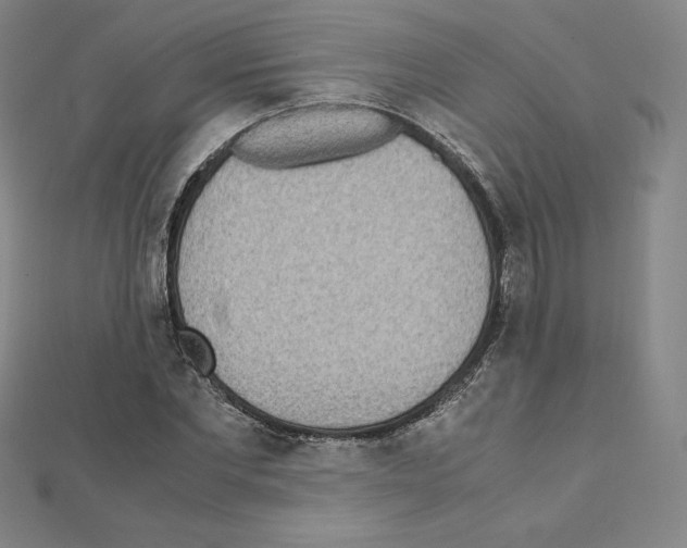 X0000111470877200908241339