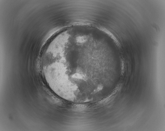 X0000111470878200908241339