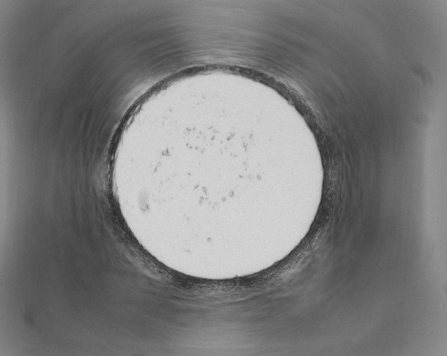 X0000111470879200908241339