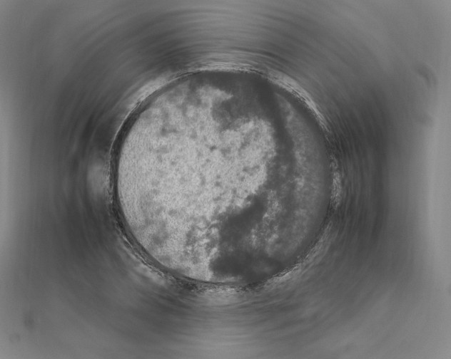 X0000111470882200908241339