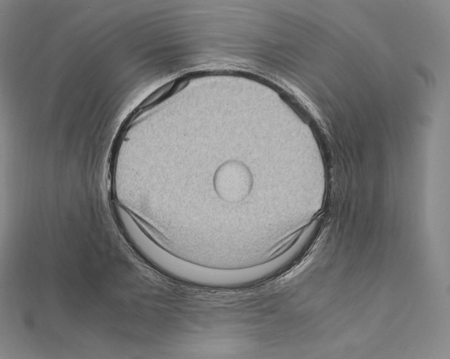 X0000111470885200908241339